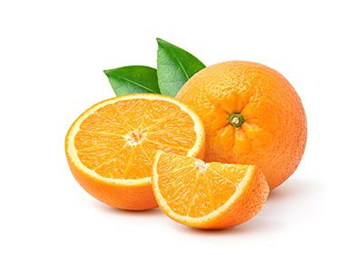 オレンジ種子油