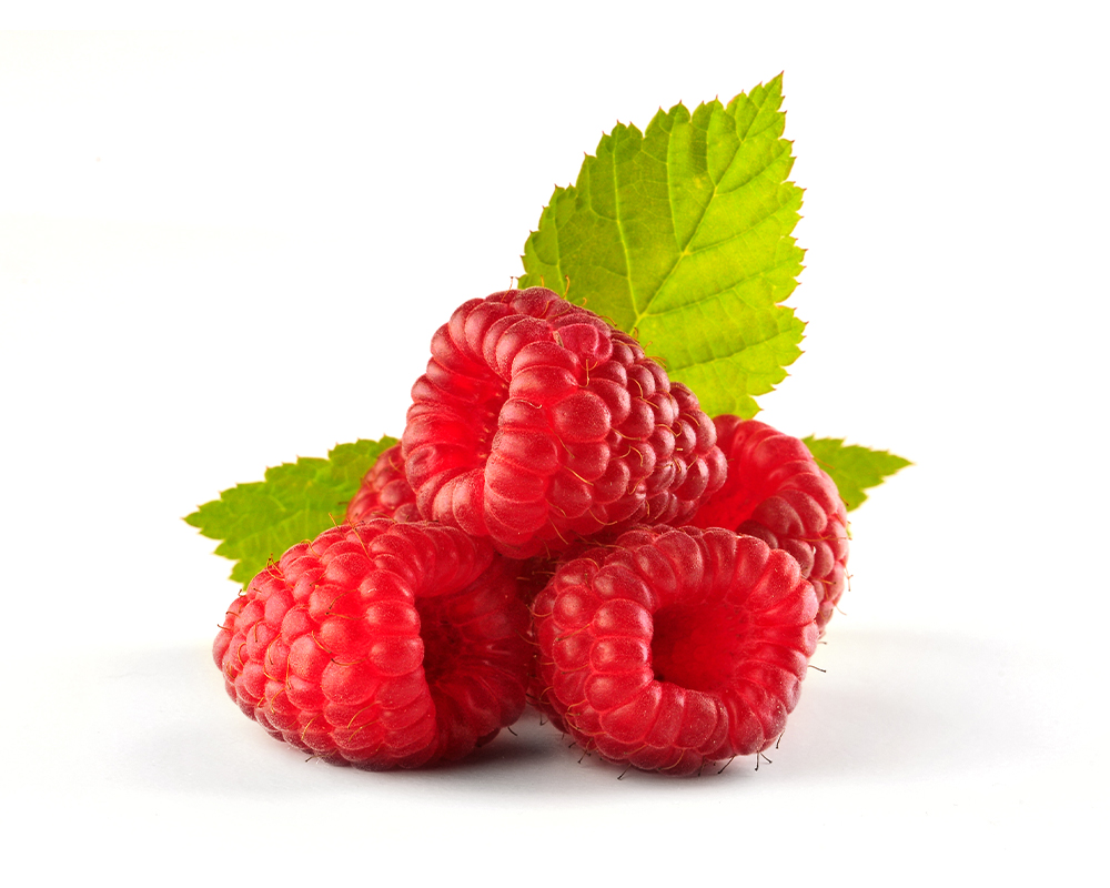 ヨーロッパキイチゴ種子油（保湿成分）